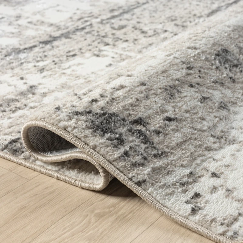 Beige Gray Indoor Area Rug, 7x9