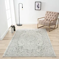 Isabella Gray and Ivory Area Rug, 4x6