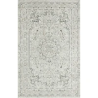 Isabella Gray and Ivory Area Rug, 4x6