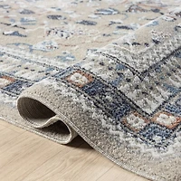 Vista Blue Beige Area Rug, 5x7