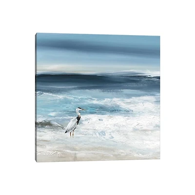 Tidal Sea Bird Canvas Art Print