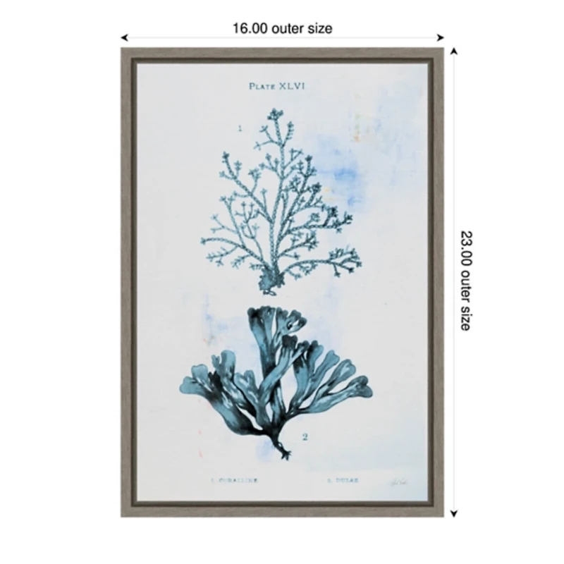 Blue Bay Coral Framed Canvas Art Print