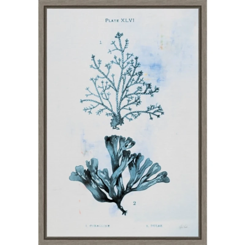 Blue Bay Coral Framed Canvas Art Print