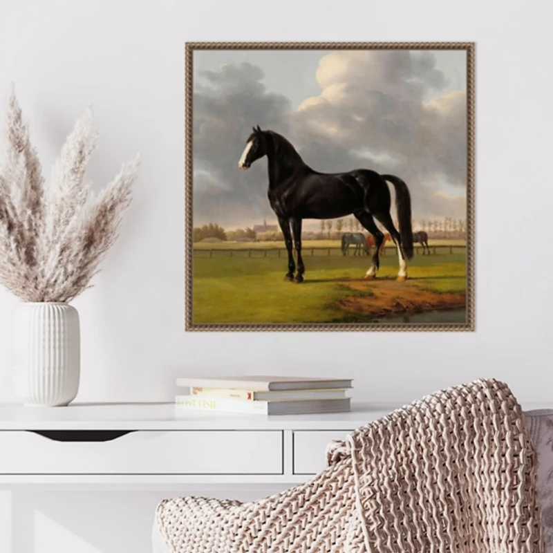 Black and White Horse Framed Canvas Art Print