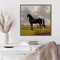 Black and White Horse Framed Canvas Art Print