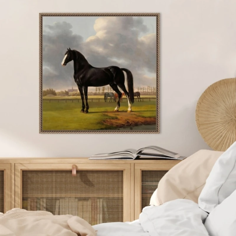 Black and White Horse Framed Canvas Art Print