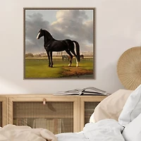 Black and White Horse Framed Canvas Art Print