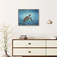 Serene Sea Turtle Framed Canvas Art Print