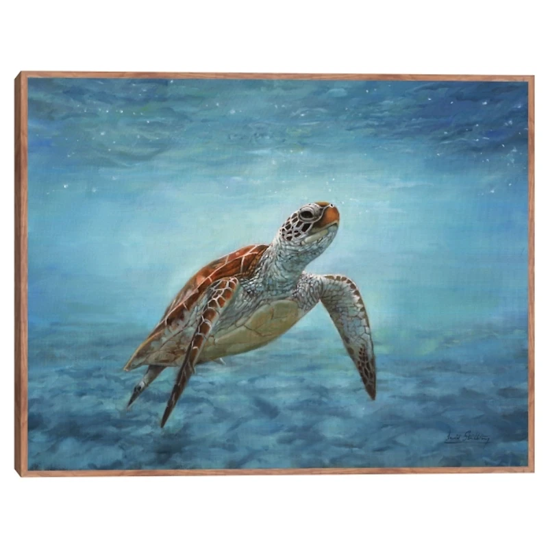 Serene Sea Turtle Framed Canvas Art Print