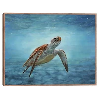 Serene Sea Turtle Framed Canvas Art Print