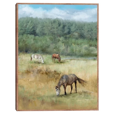 Three Grazing Horses Framed Canvas Art Print