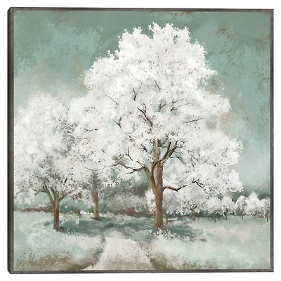 Summer Eve Framed Canvas Art Print