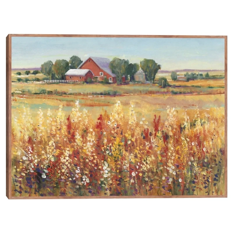 Country Views Framed Canvas Art Print