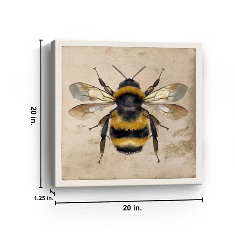 Bumblebee Anatomy Canvas Art Print