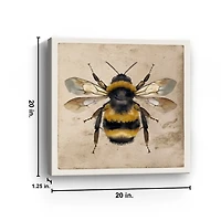 Bumblebee Anatomy Canvas Art Print