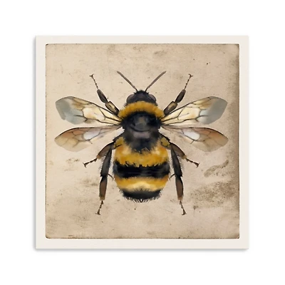 Bumblebee Anatomy Canvas Art Print