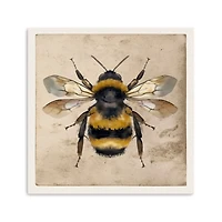 Bumblebee Anatomy Canvas Art Print