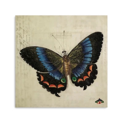 Vintage Butterfly Canvas Art Print