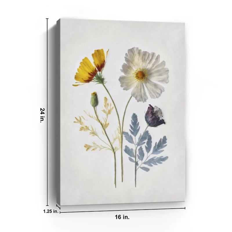 Pressed Flower Memories II Canvas Art Print