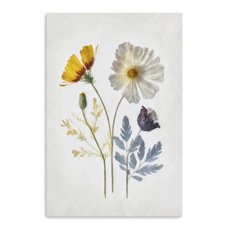 Pressed Flower Memories II Canvas Art Print