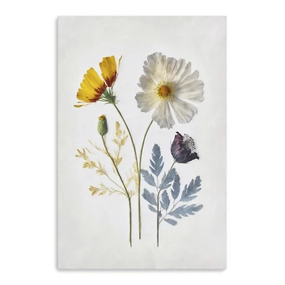 Pressed Flower Memories II Canvas Art Print