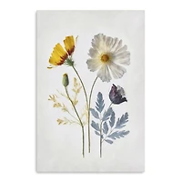 Pressed Flower Memories II Canvas Art Print