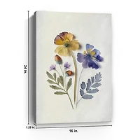 Pressed Flower Memories III Canvas Art Print