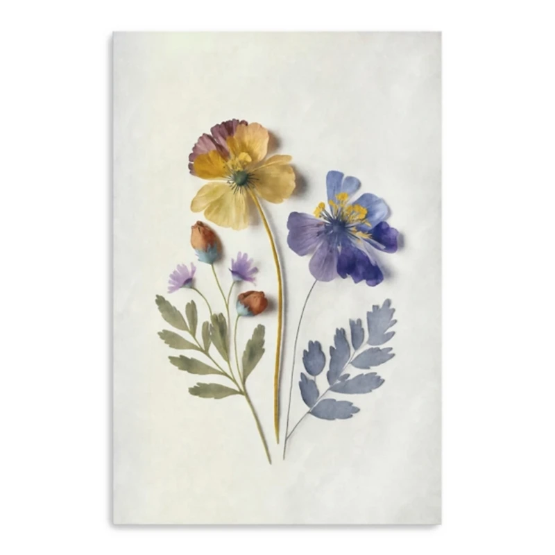 Pressed Flower Memories III Canvas Art Print