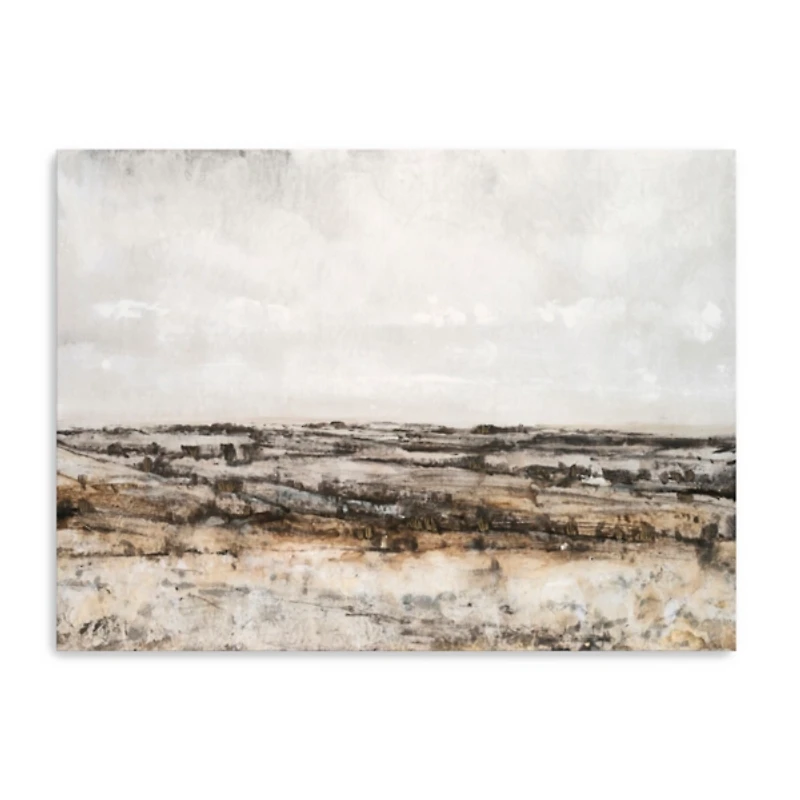Distant Valley Canvas Art Print