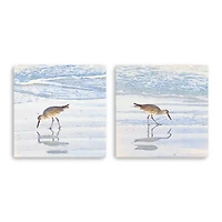 Sandpiper Dreams Canvas Art Prints, Set of 2