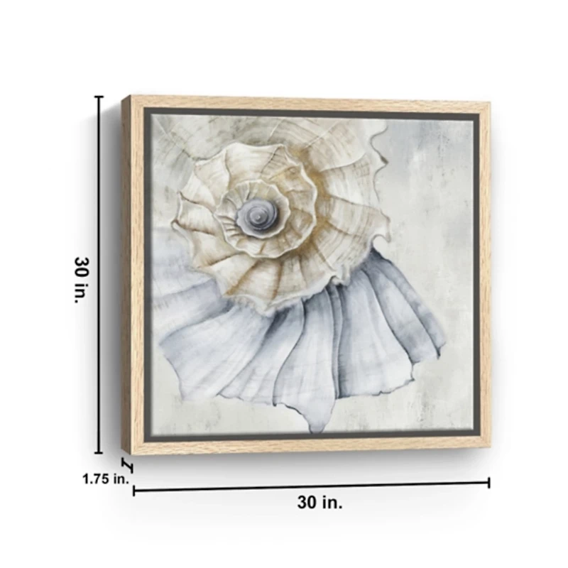 Blue Spiral Shell Framed Canvas Art Print