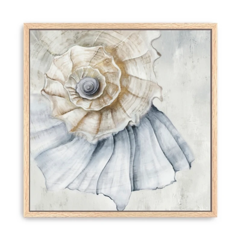 Blue Spiral Shell Framed Canvas Art Print