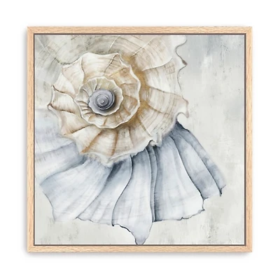 Blue Spiral Shell Framed Canvas Art Print