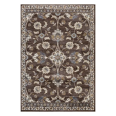 Jordan Bea Brown Area Rug, 7x10
