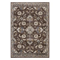 Jordan Bea Brown Area Rug, 7x10