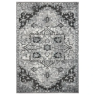 Alexandria Chaves Gray Medallion Area Rug