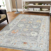 Bohemian Seaford Accent Rug, 2x3