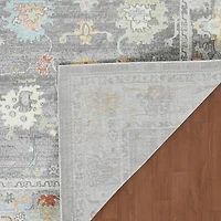 Bohemian Seaford Accent Rug, 2x3