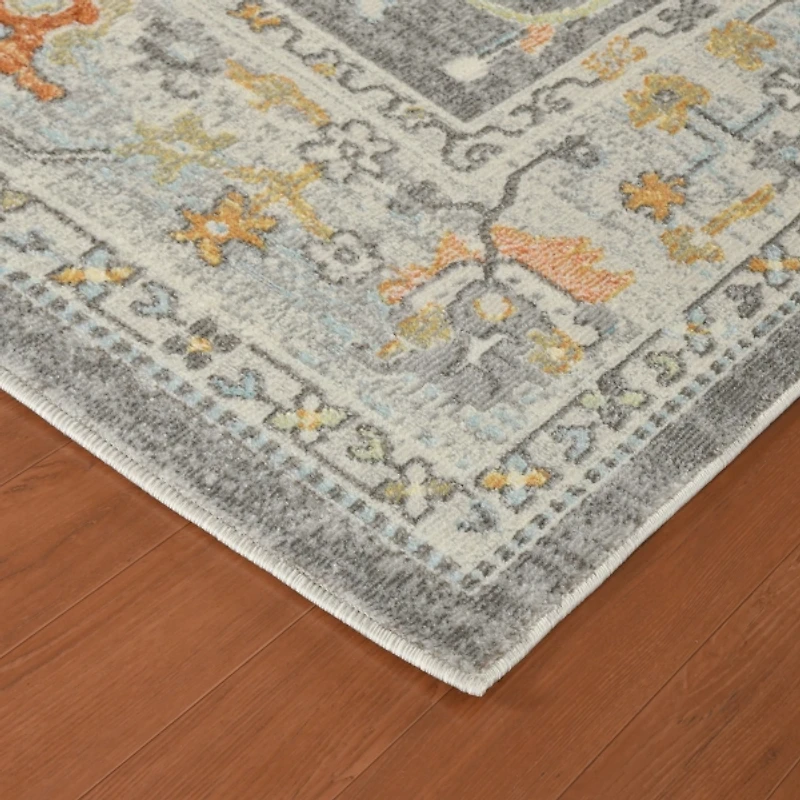 Bohemian Seaford Accent Rug, 2x3