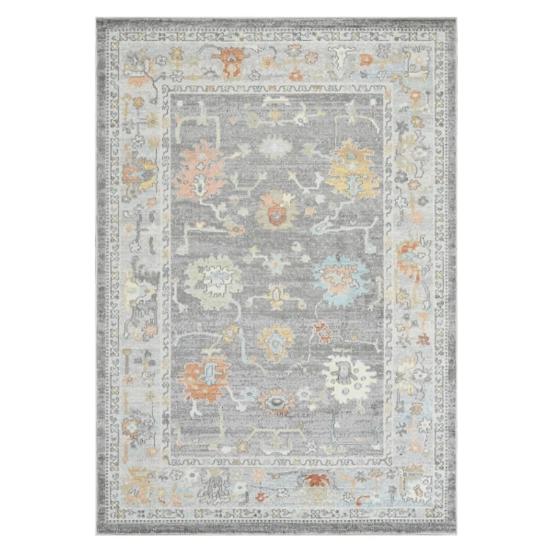 Bohemian Seaford Accent Rug, 2x3