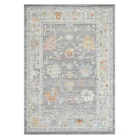 Bohemian Seaford Accent Rug, 2x3