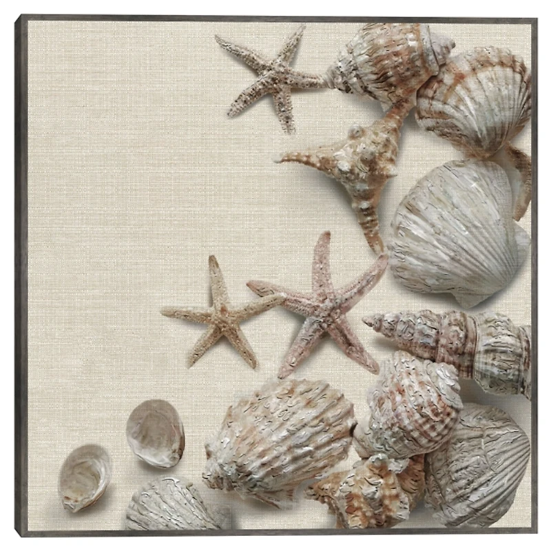 Linen Shell Collection Framed Canvas Art Print