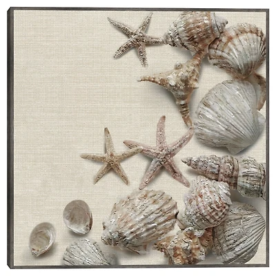 Linen Shell Collection Framed Canvas Art Print