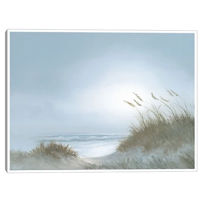 Morning Dunes Framed Canvas Art Print
