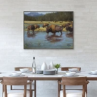 Buffalo Crossing Framed Canvas Art Print