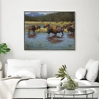 Buffalo Crossing Framed Canvas Art Print