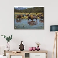 Buffalo Crossing Framed Canvas Art Print