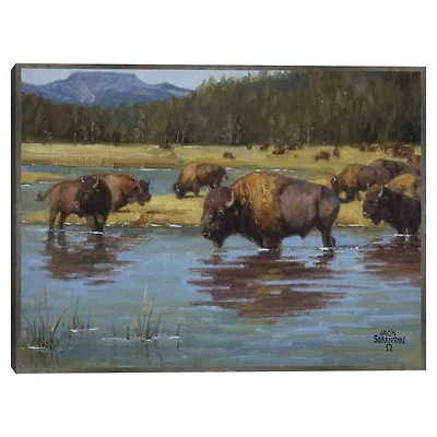 Buffalo Crossing Framed Canvas Art Print