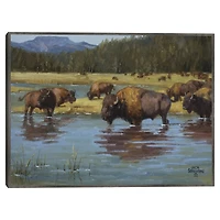 Buffalo Crossing Framed Canvas Art Print