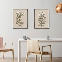 White Floral Stems Framed Canvas Prints, Set of 2